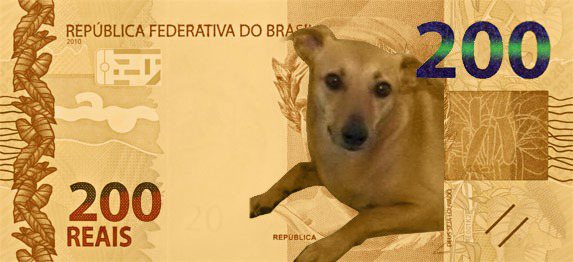 Nota de duzentos reais com o cão vira-lata caramelo